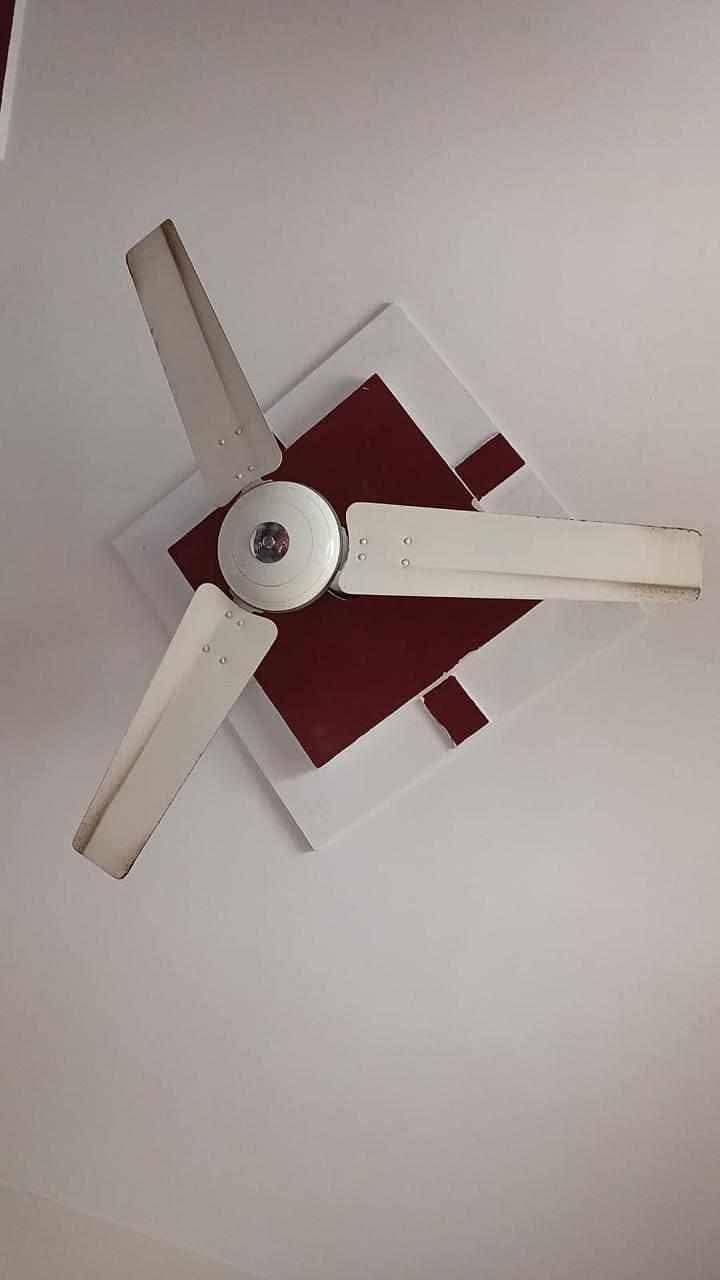 ceiling fans 0