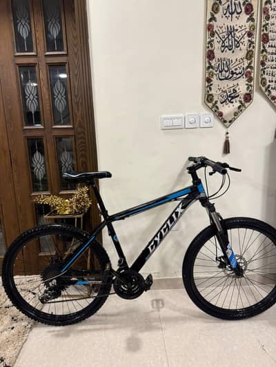 Maine cycle bechni hai