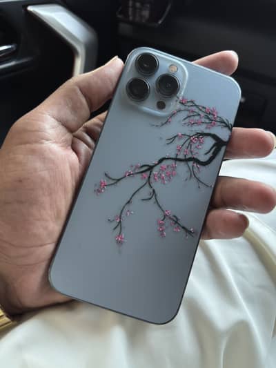 Apple iPhone 13 Pro Max pta approved