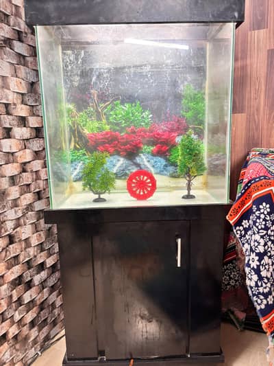 aquarium