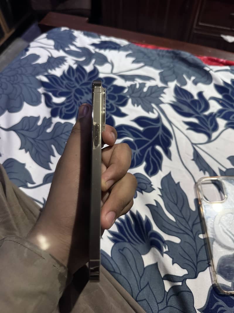 Apple iPhone 12 Pro Max 2