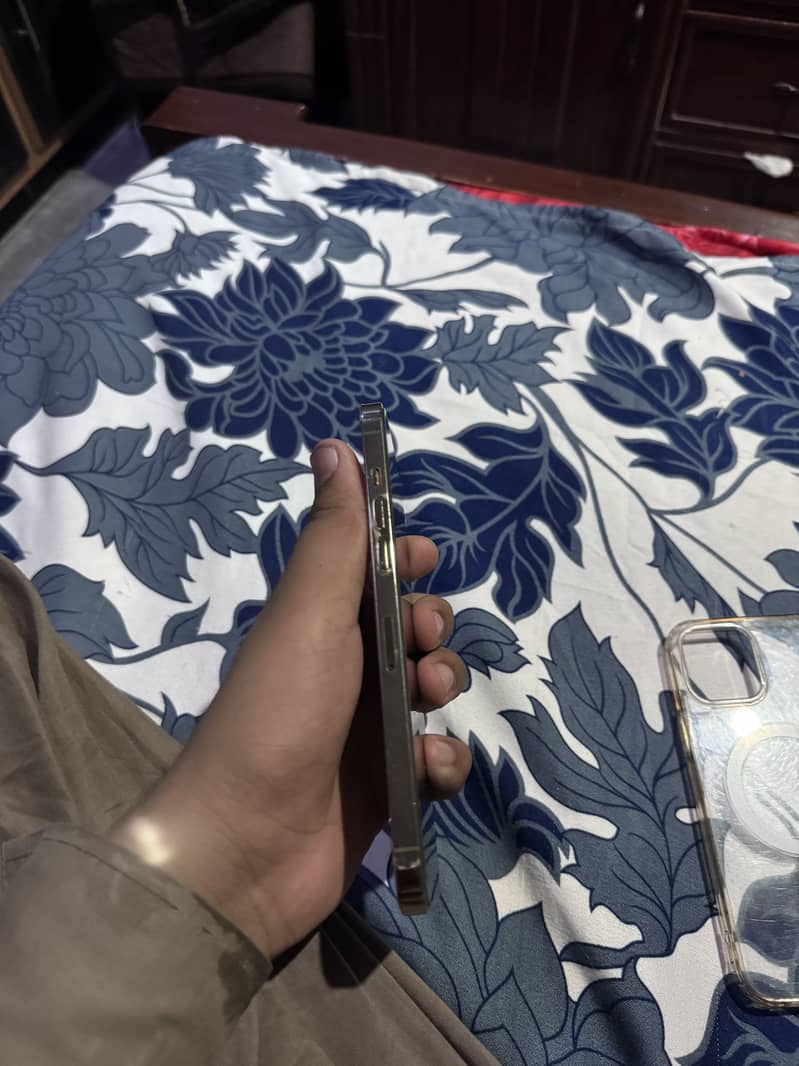Apple iPhone 12 Pro Max 3