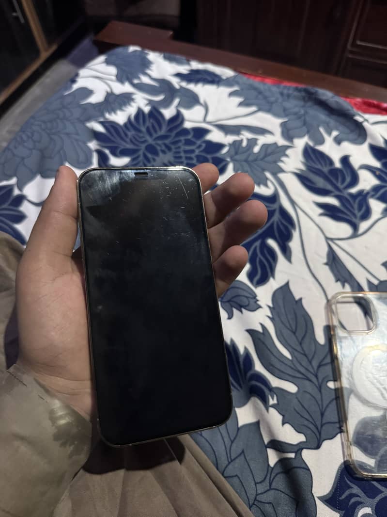 Apple iPhone 12 Pro Max 5