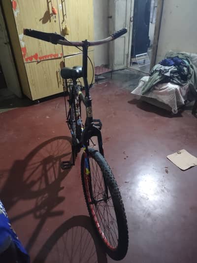 Wheelie bicycle for adventure
