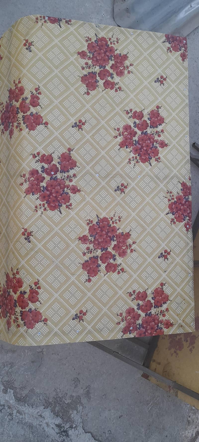 Window Shades 1