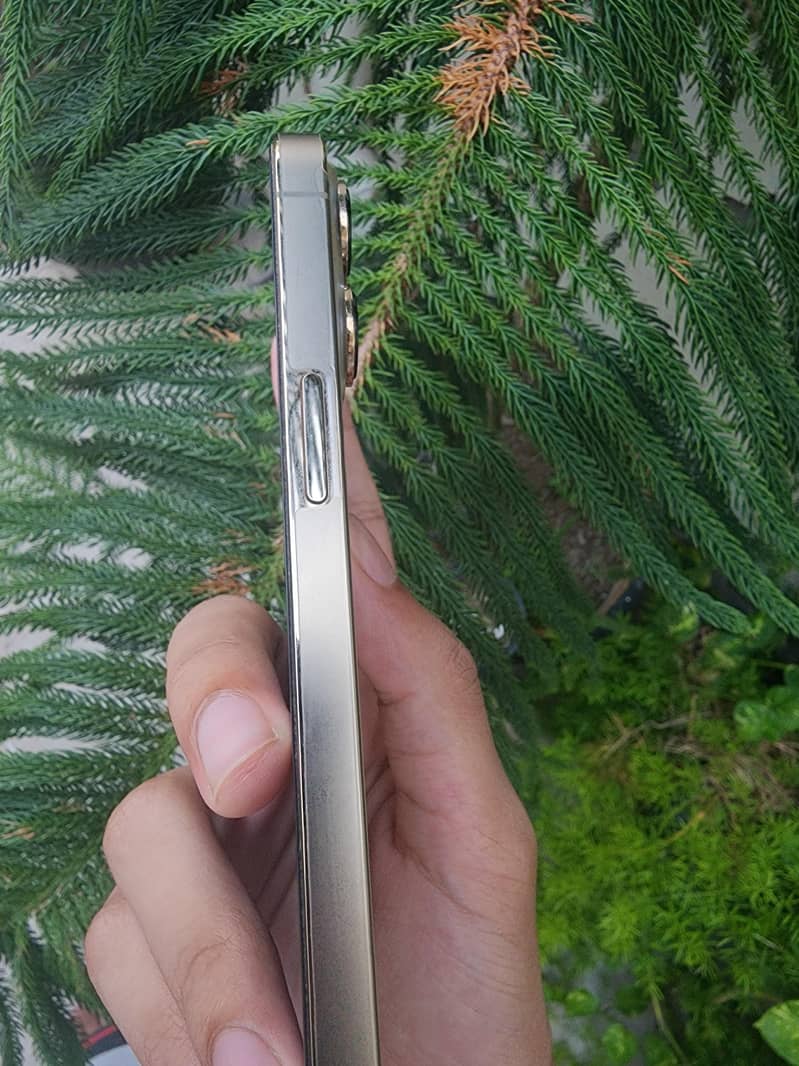 Apple iPhone 13 Pro Max 1