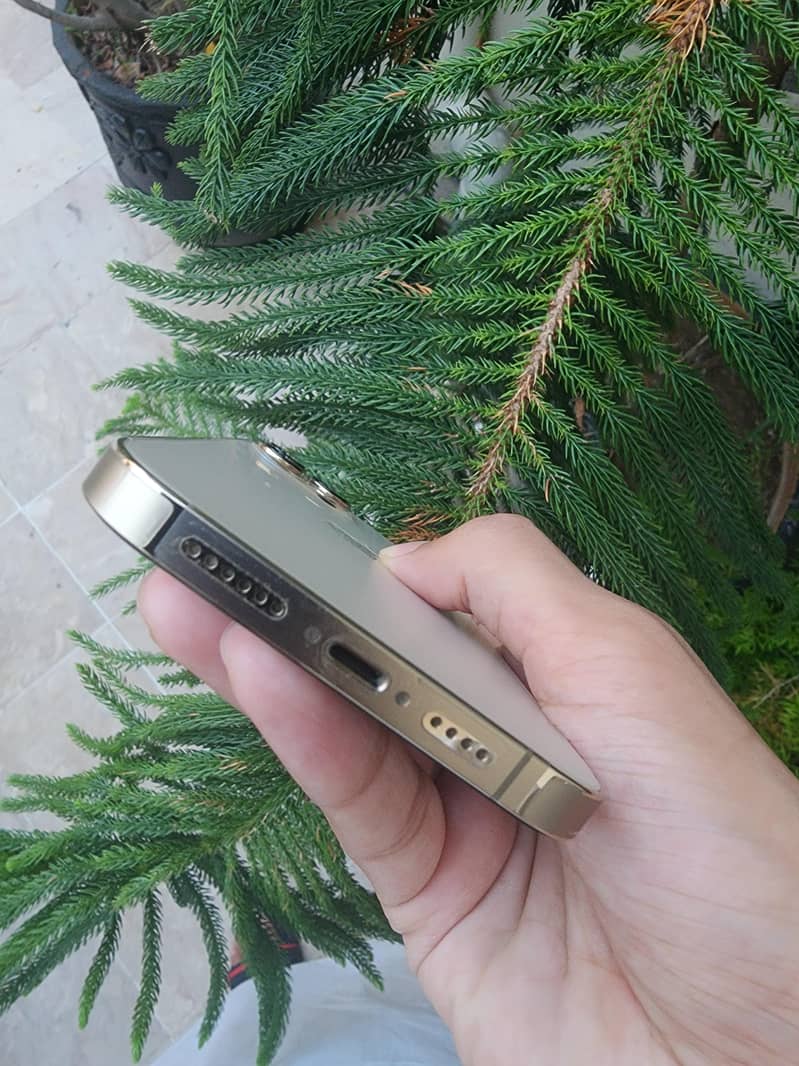 Apple iPhone 13 Pro Max 2