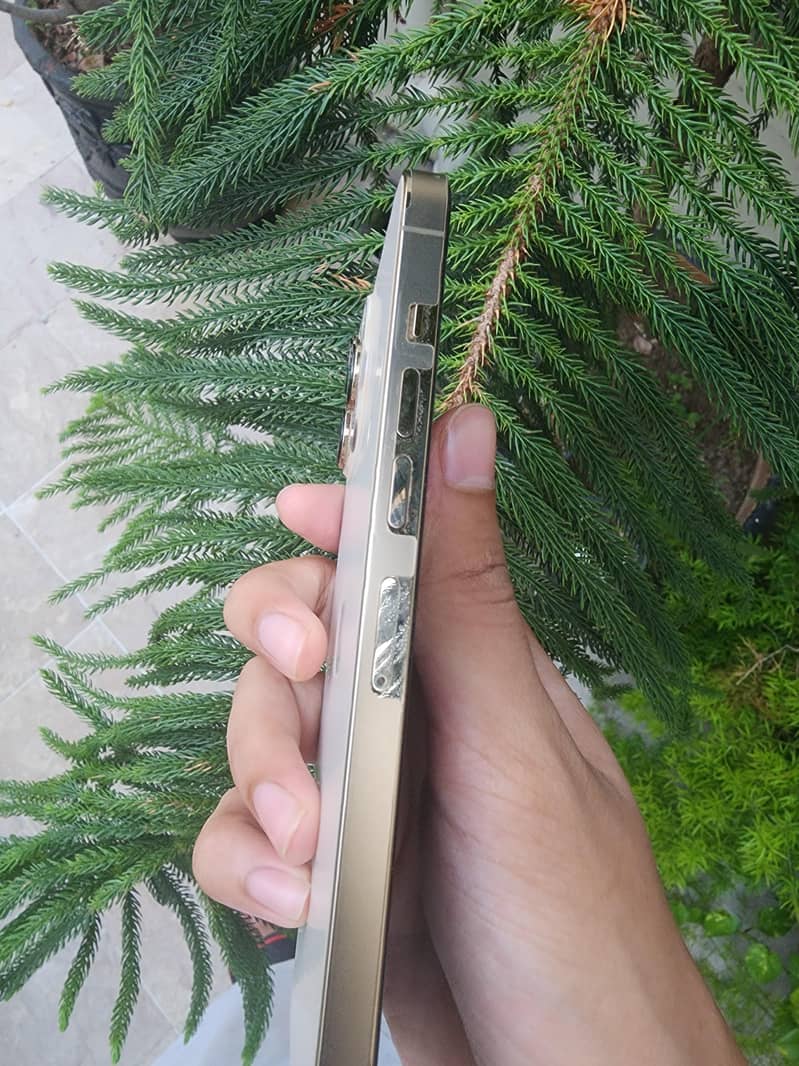 Apple iPhone 13 Pro Max 3