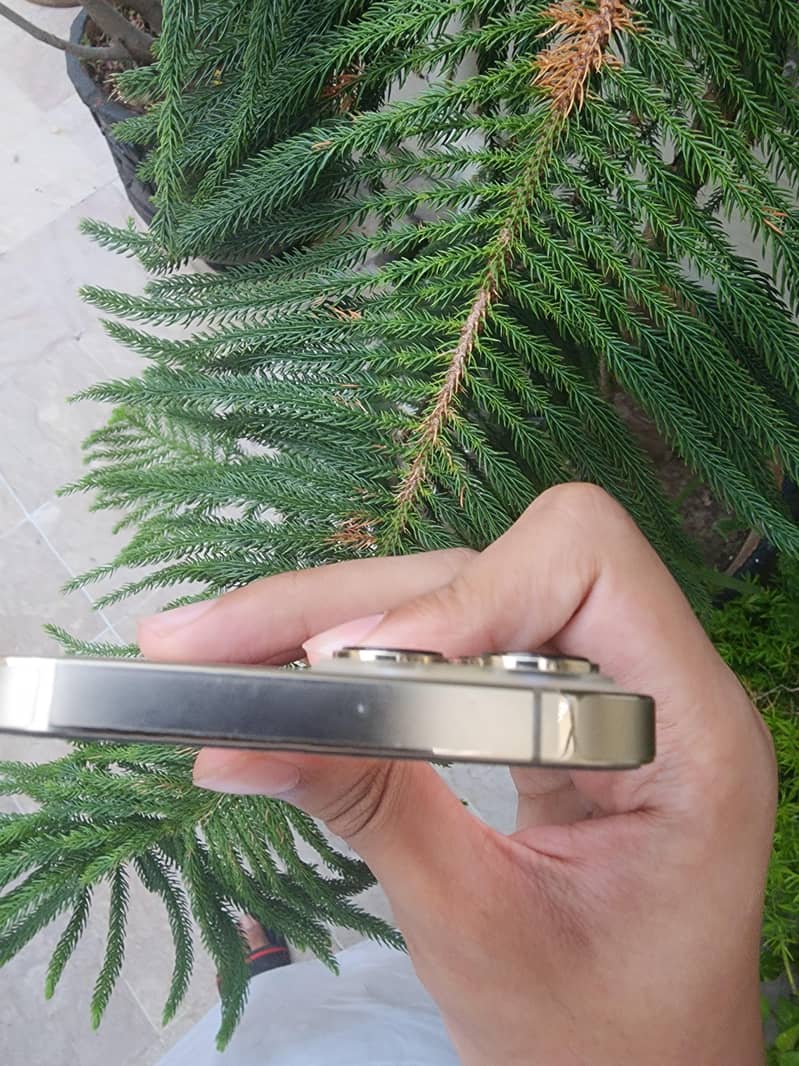 Apple iPhone 13 Pro Max 4