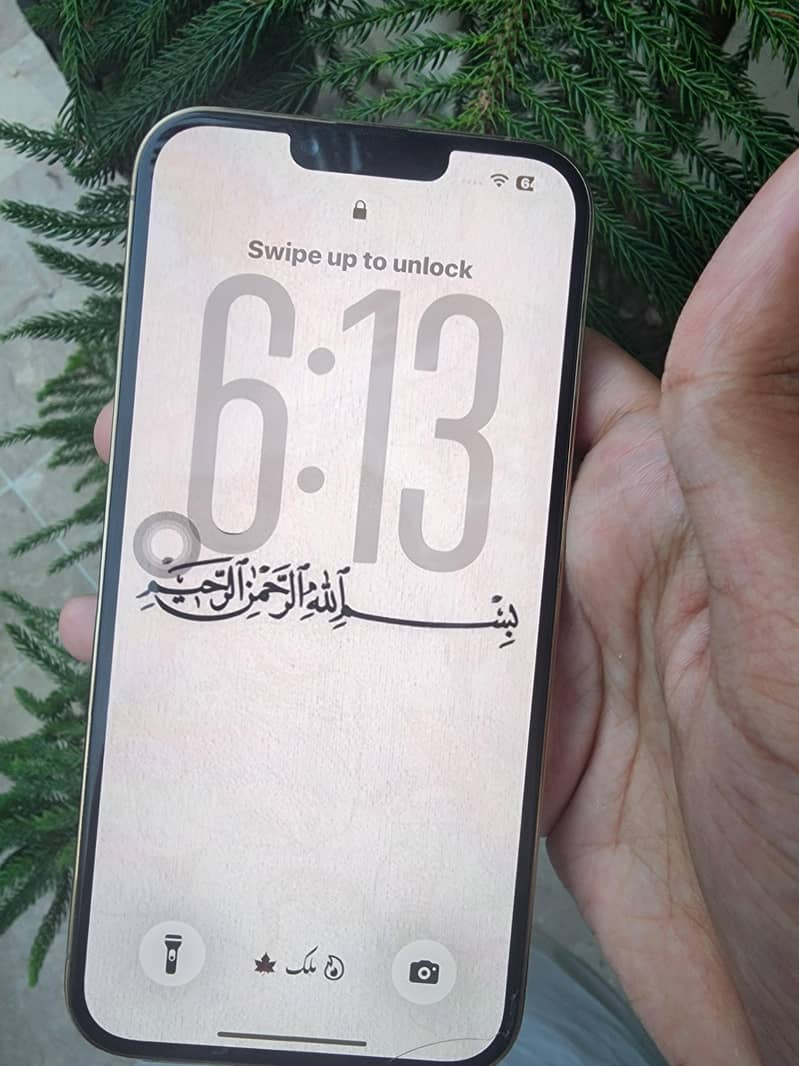 Apple iPhone 13 Pro Max 5