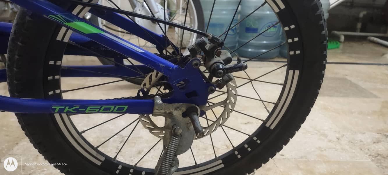 new BDF cycle 2