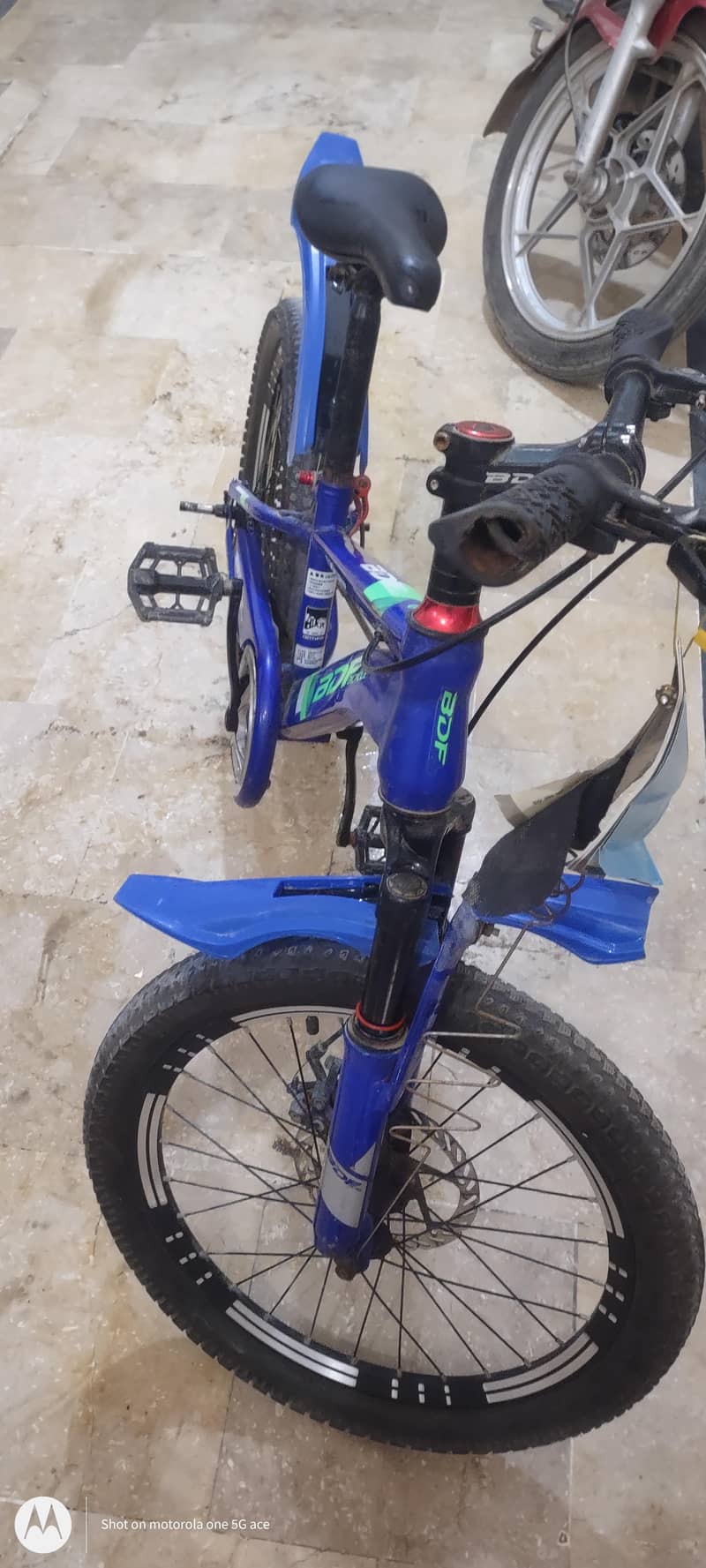 new BDF cycle 5