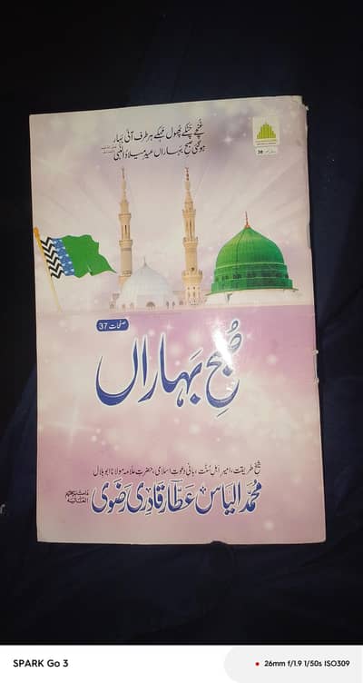 Nare wali book all nare he 12 rabeulawal ke all