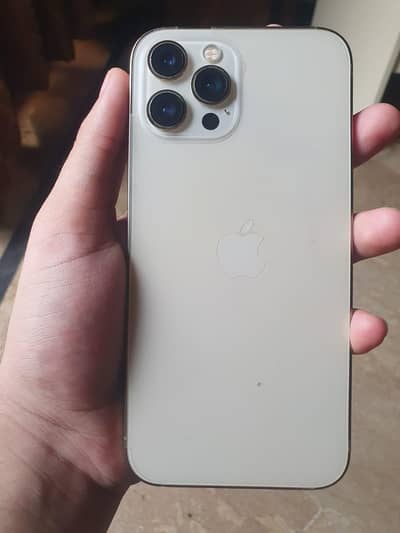 Apple iPhone 12 Pro Max
