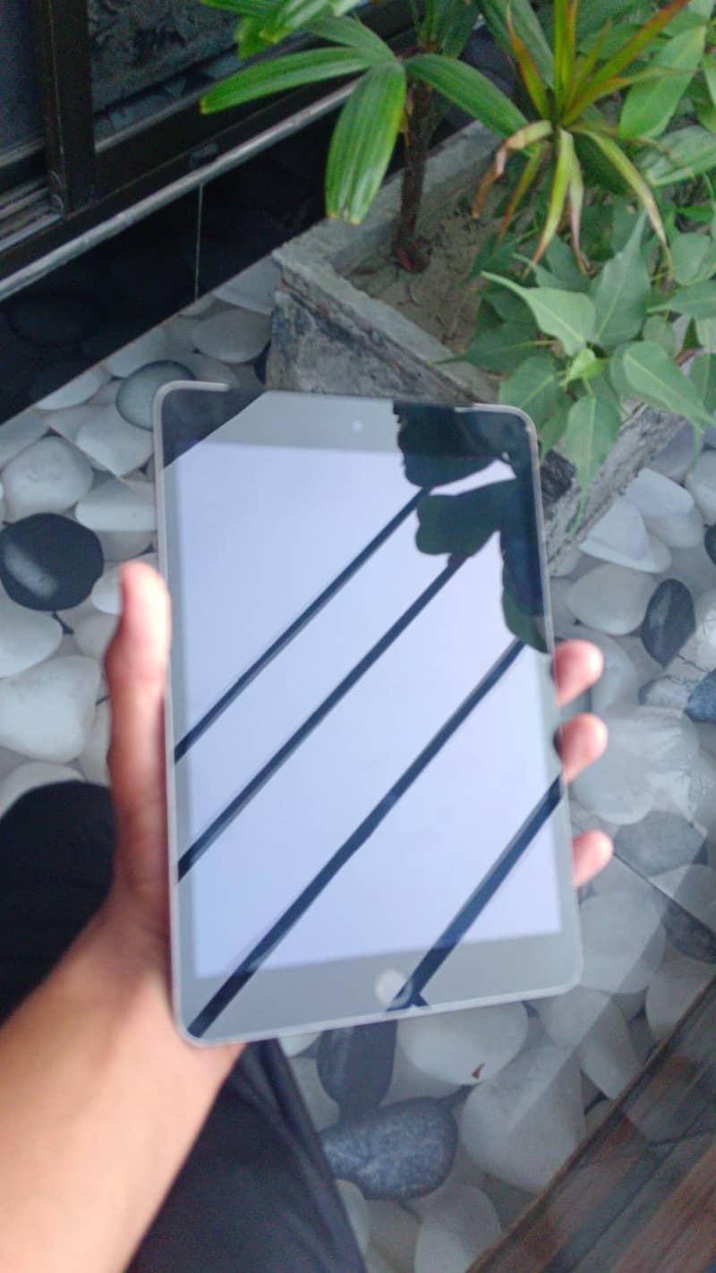 Ipad mini 3 0