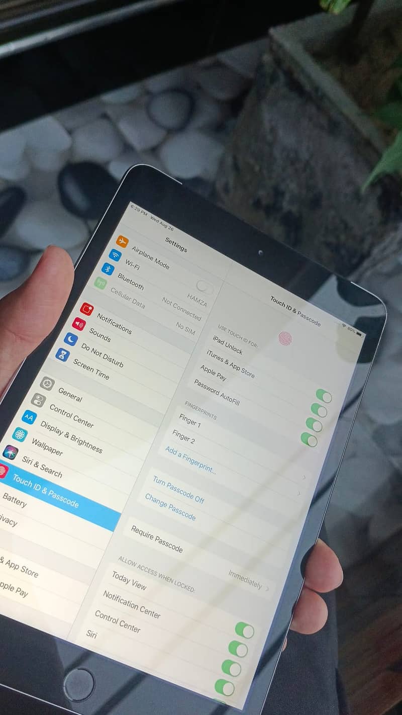 Ipad mini 3 12