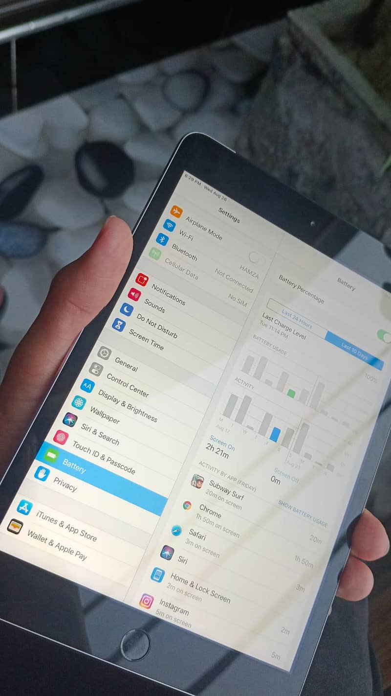 Ipad mini 3 13