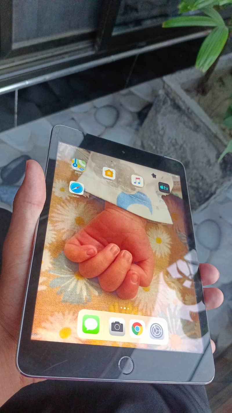 Ipad mini 3 15