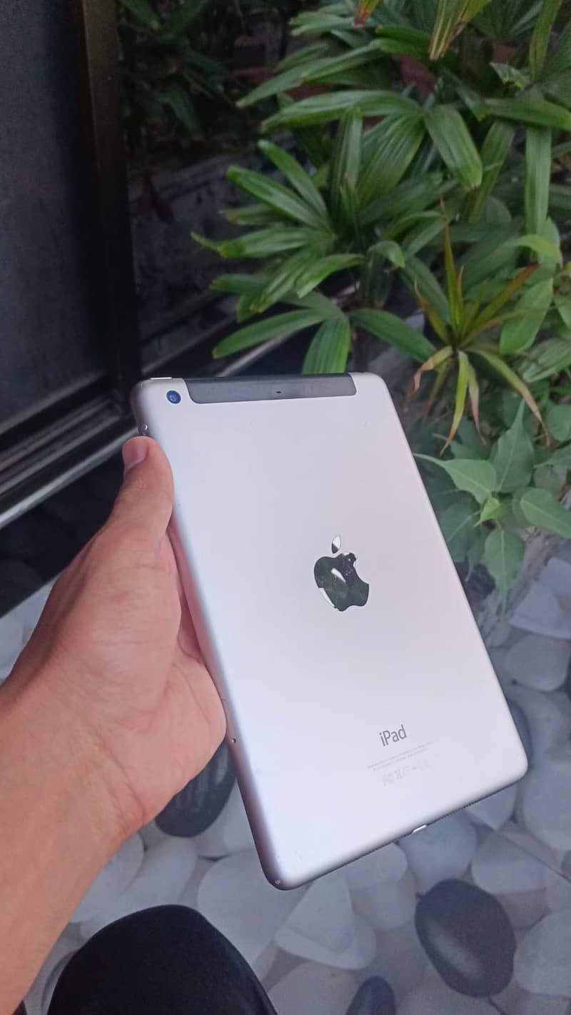 Ipad mini 3 17