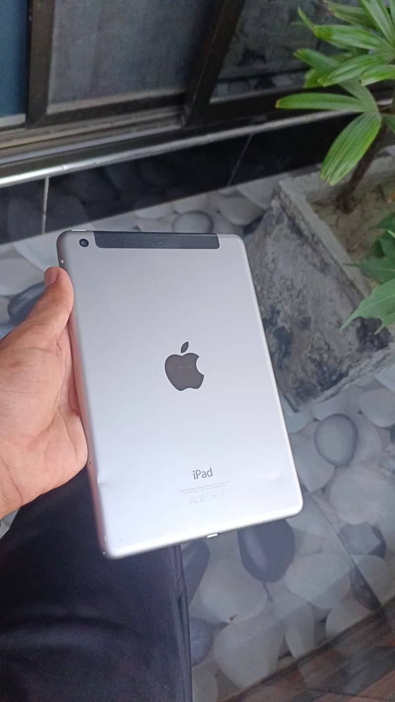 Ipad mini 3 18