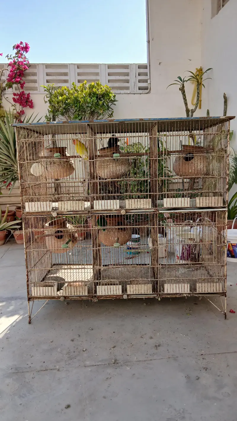 2 Cages- 6 potion each-18 x 12 inches — photo 2