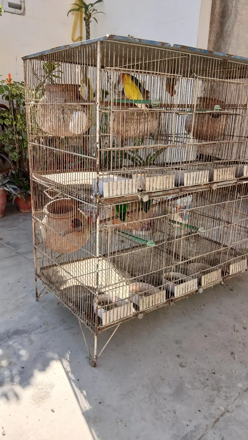 2 Cages- 6 potion each-18 x 12 inches — photo 3