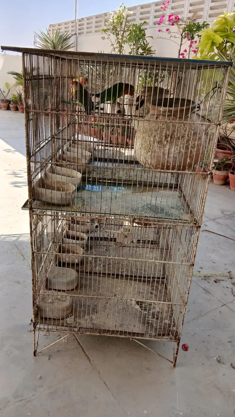 2 Cages- 6 potion each-18 x 12 inches — photo 4