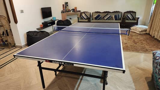 Professional Table Tennis Setup