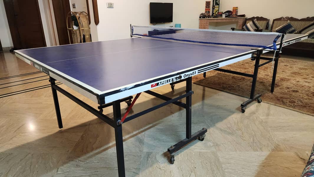 Professional Table Tennis Setup 1