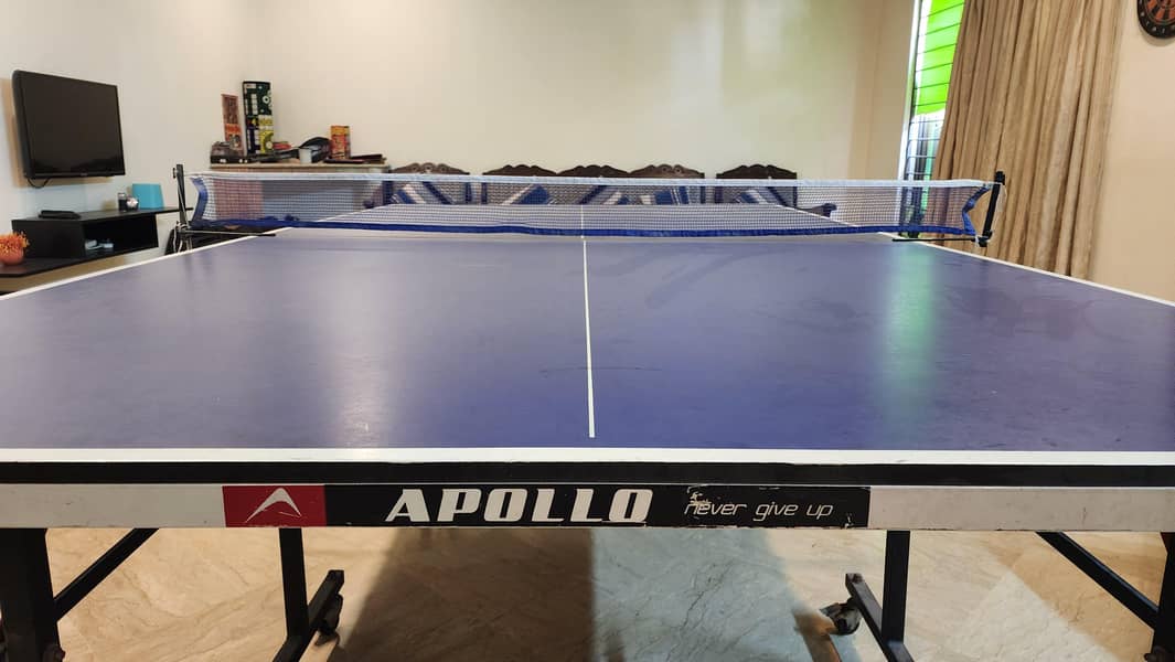 Professional Table Tennis Setup 2