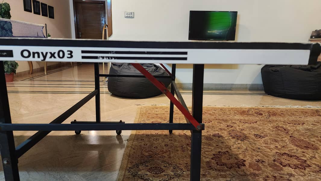 Professional Table Tennis Setup 3