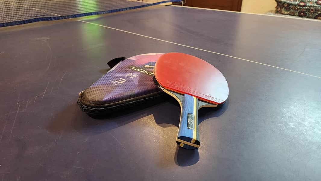 Professional Table Tennis Setup 4