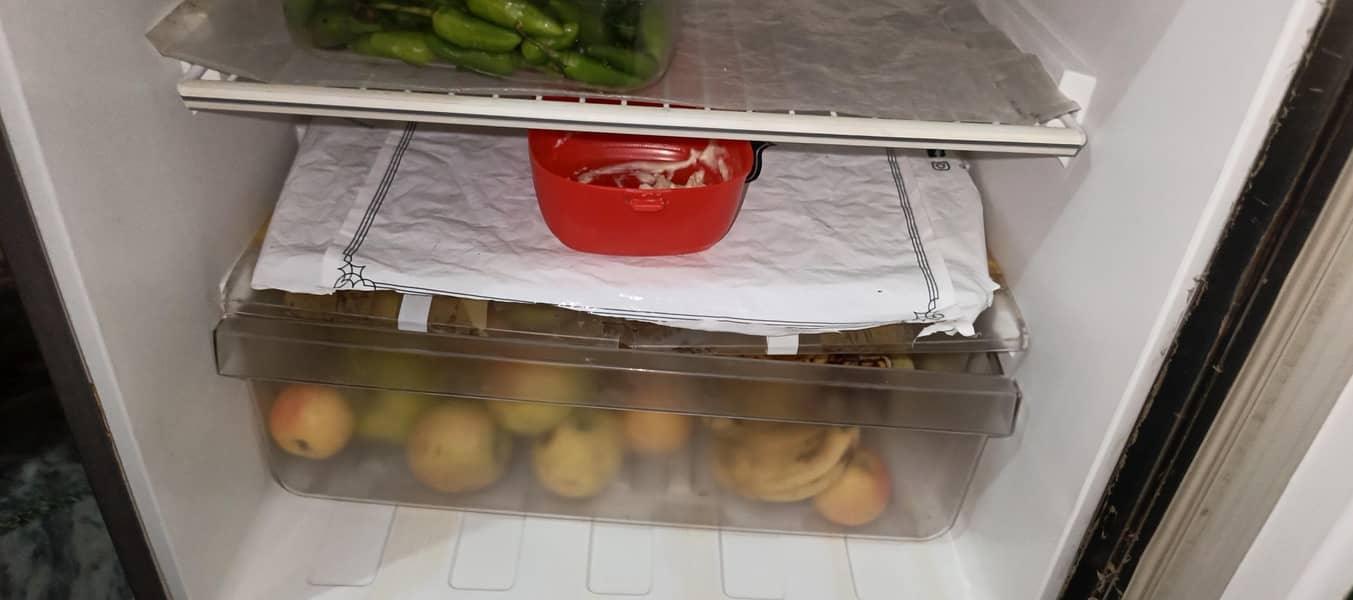 pel freezer 3