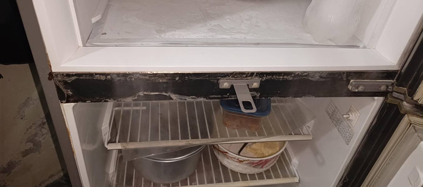 pel freezer 5
