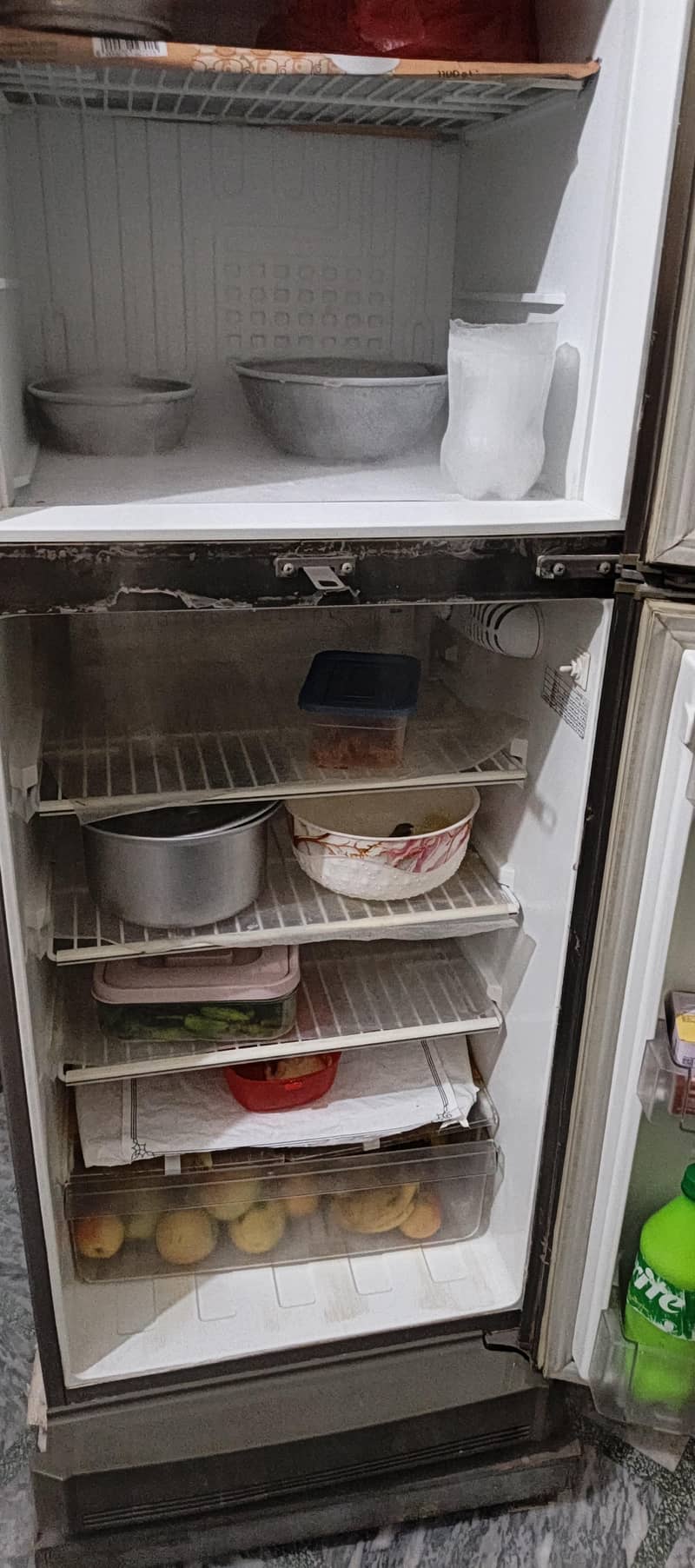 pel freezer 6