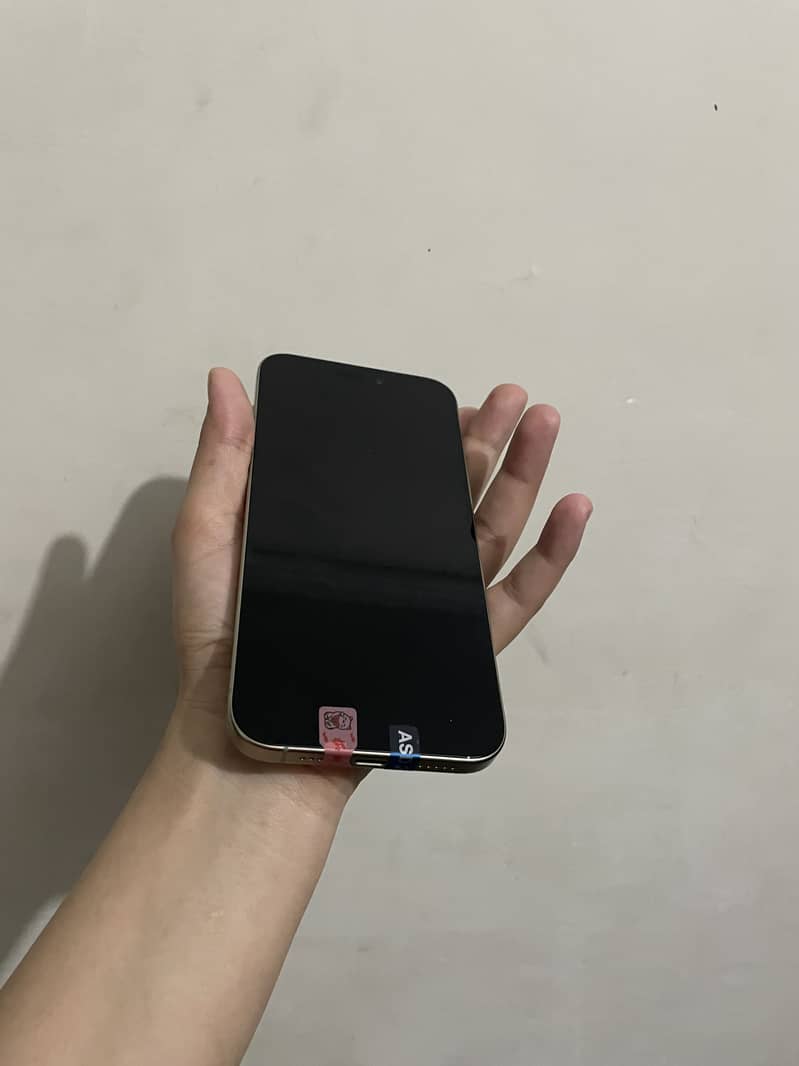 Apple iPhone 15 Pro Max 3