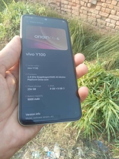 vivo. . y100. . 12. . 256. . gb
