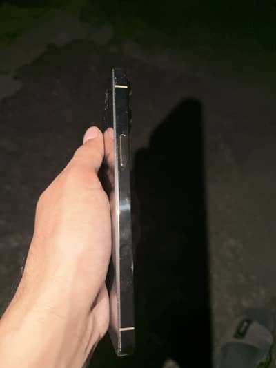 Apple iPhone 12 Pro Max
