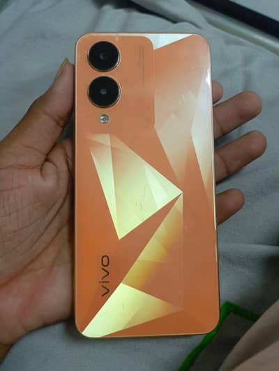 Vivo Y17 4+4 128