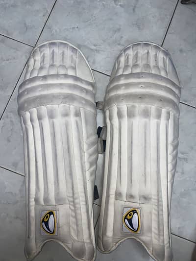 Dandelion Batting pads