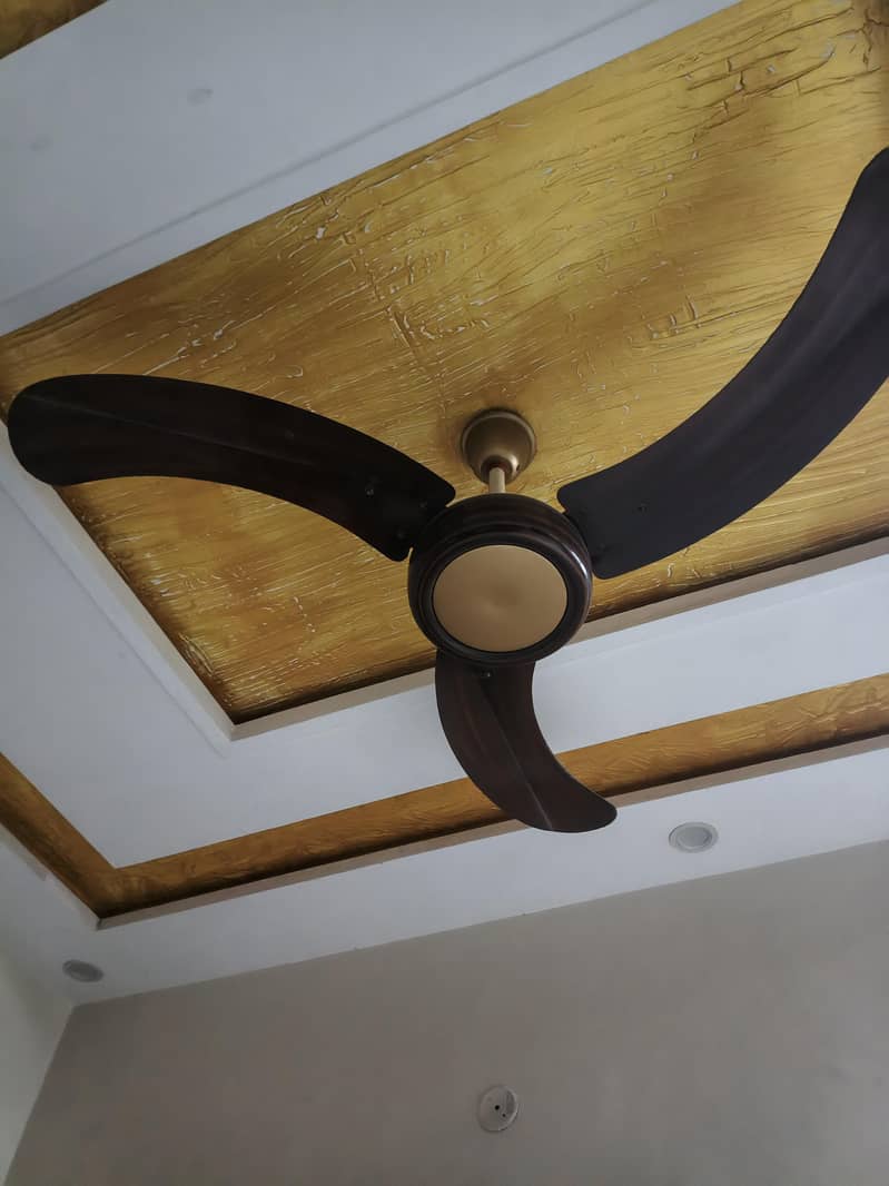 Fency Ceiling Fans 0