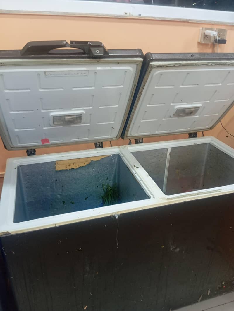 Pel Freezer 1