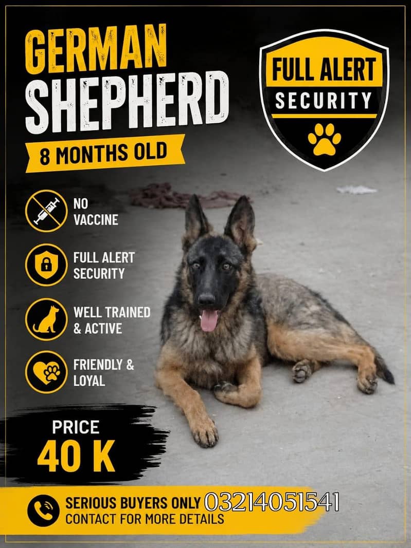 security dog 0
