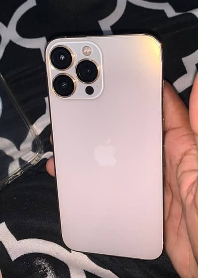 Apple iPhone 13 Pro Max