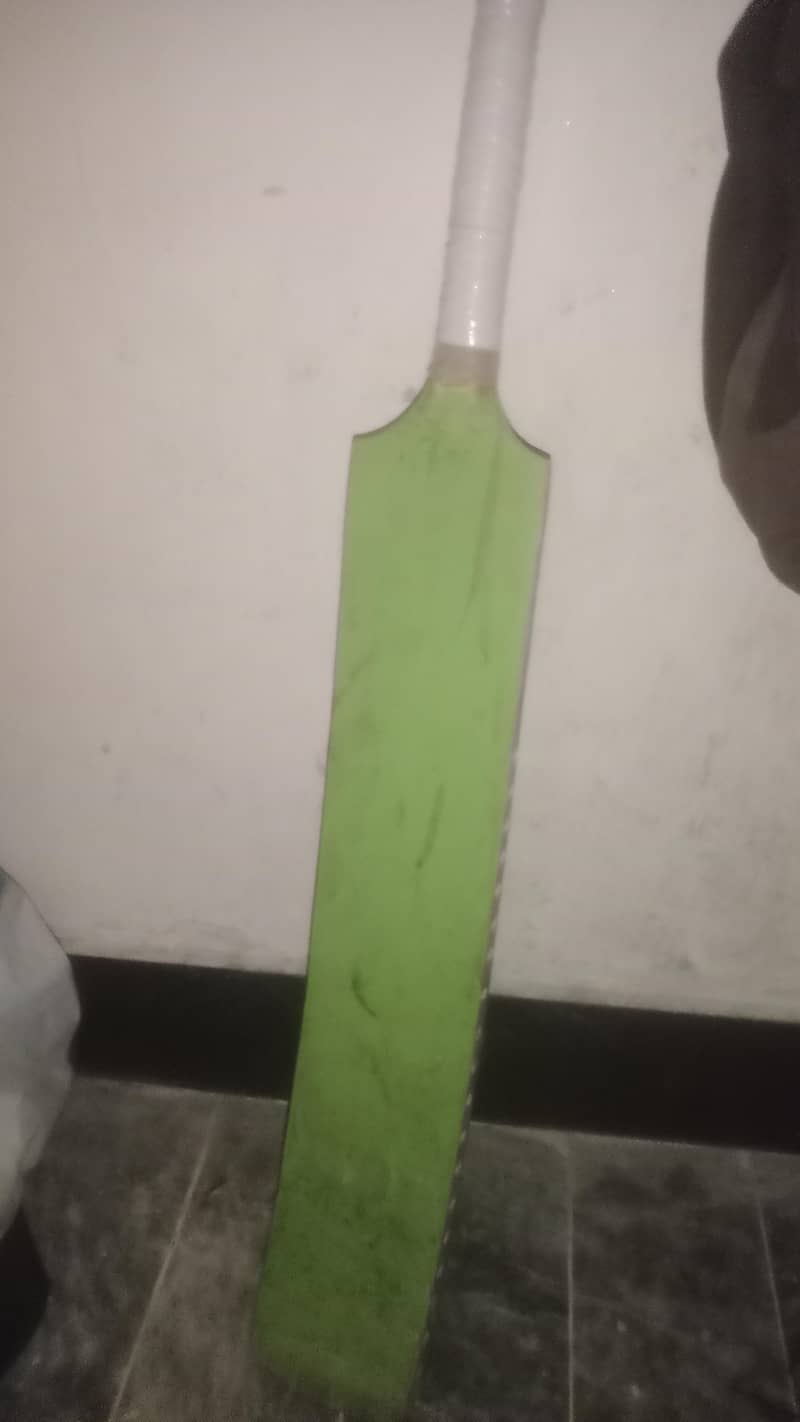 cricket bat 1
