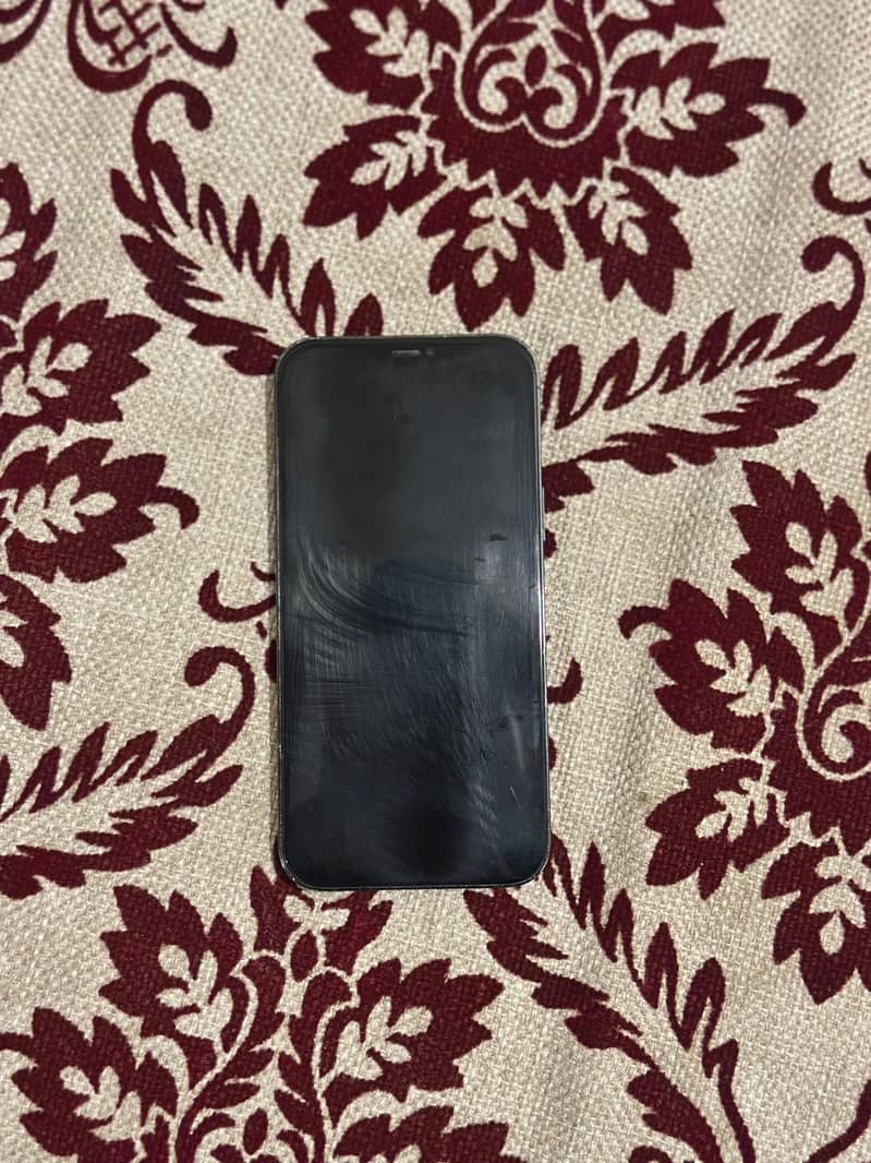 iPhone 12 Pro Max 1