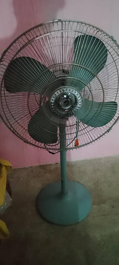 urgent sale krna hay. q k kl bijli ka bil jama krwana hay