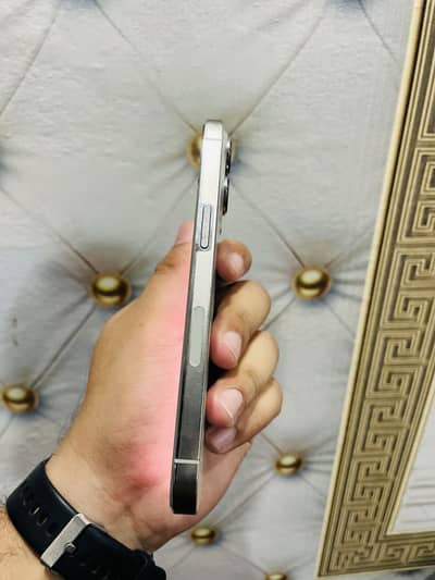 Apple iPhone 13 Pro