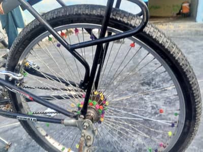 new tur 2