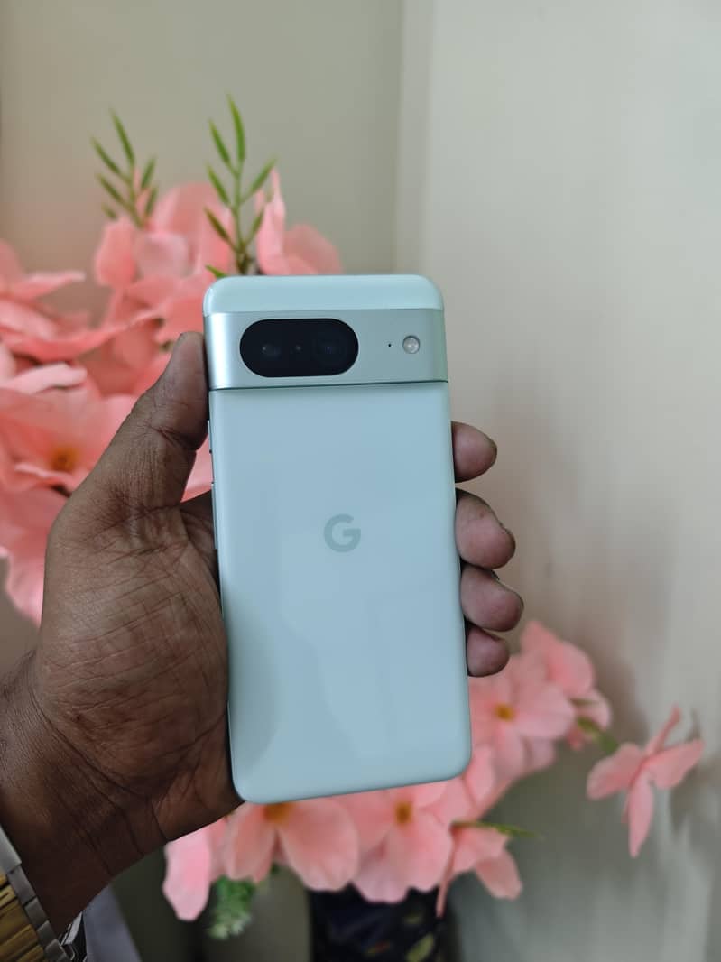 Google Pixel 8 approved 1